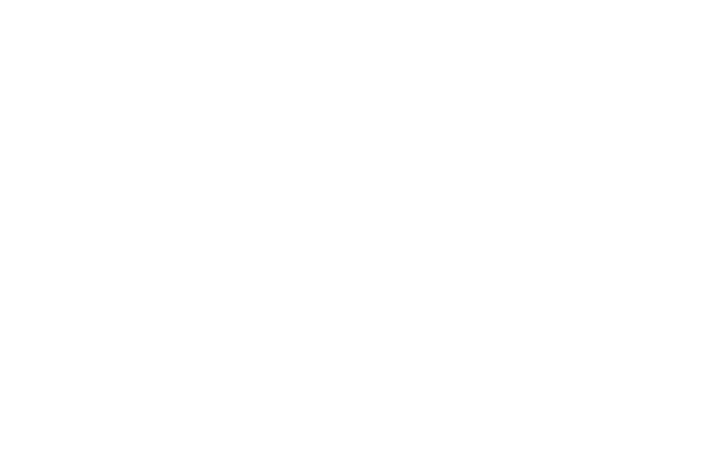 Elisabetta Orsi